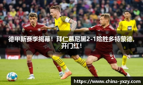 db旗舰官方网站