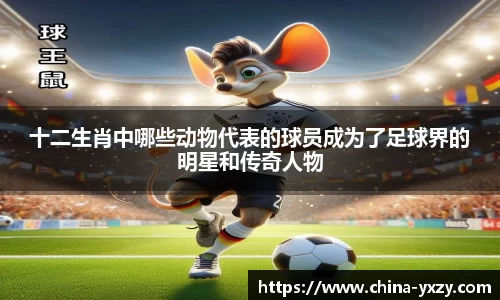 十二生肖中哪些动物代表的球员成为了足球界的明星和传奇人物